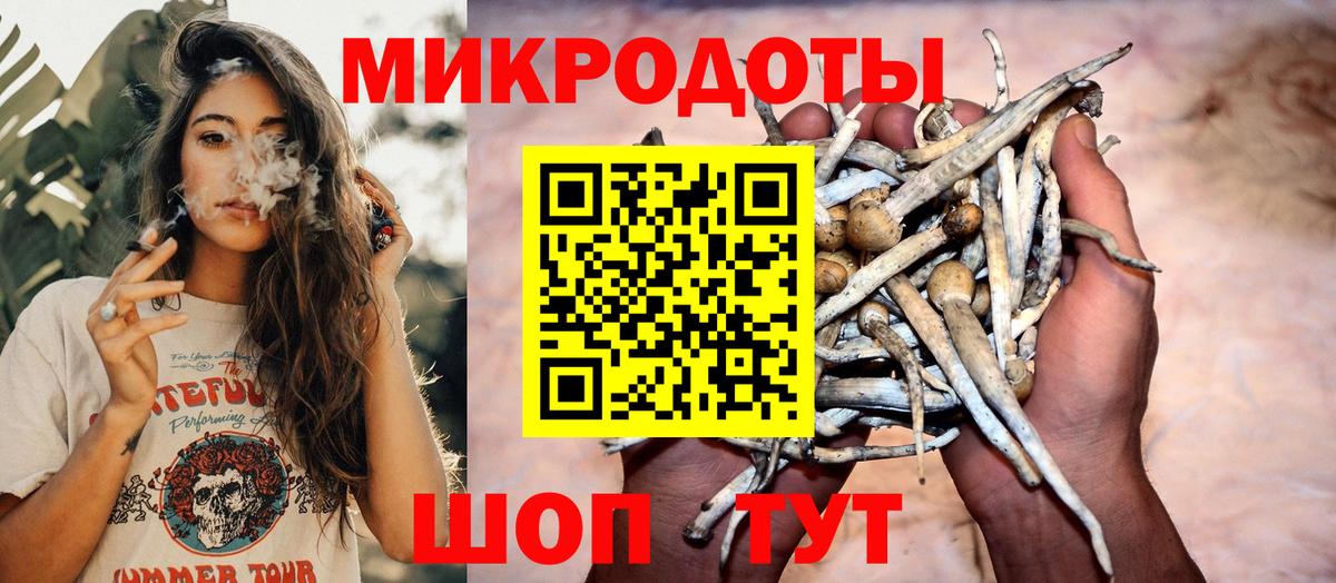 Галлюциногенные грибы Magic Shrooms Мыски